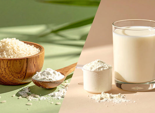 Reisprotein oder Whey – was ist besser?