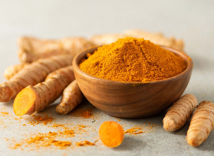 Frische Curcuma-Wurzeln und ein Schälchen Curcuma-Pulver – die Pflanze hinter dem Gewürz