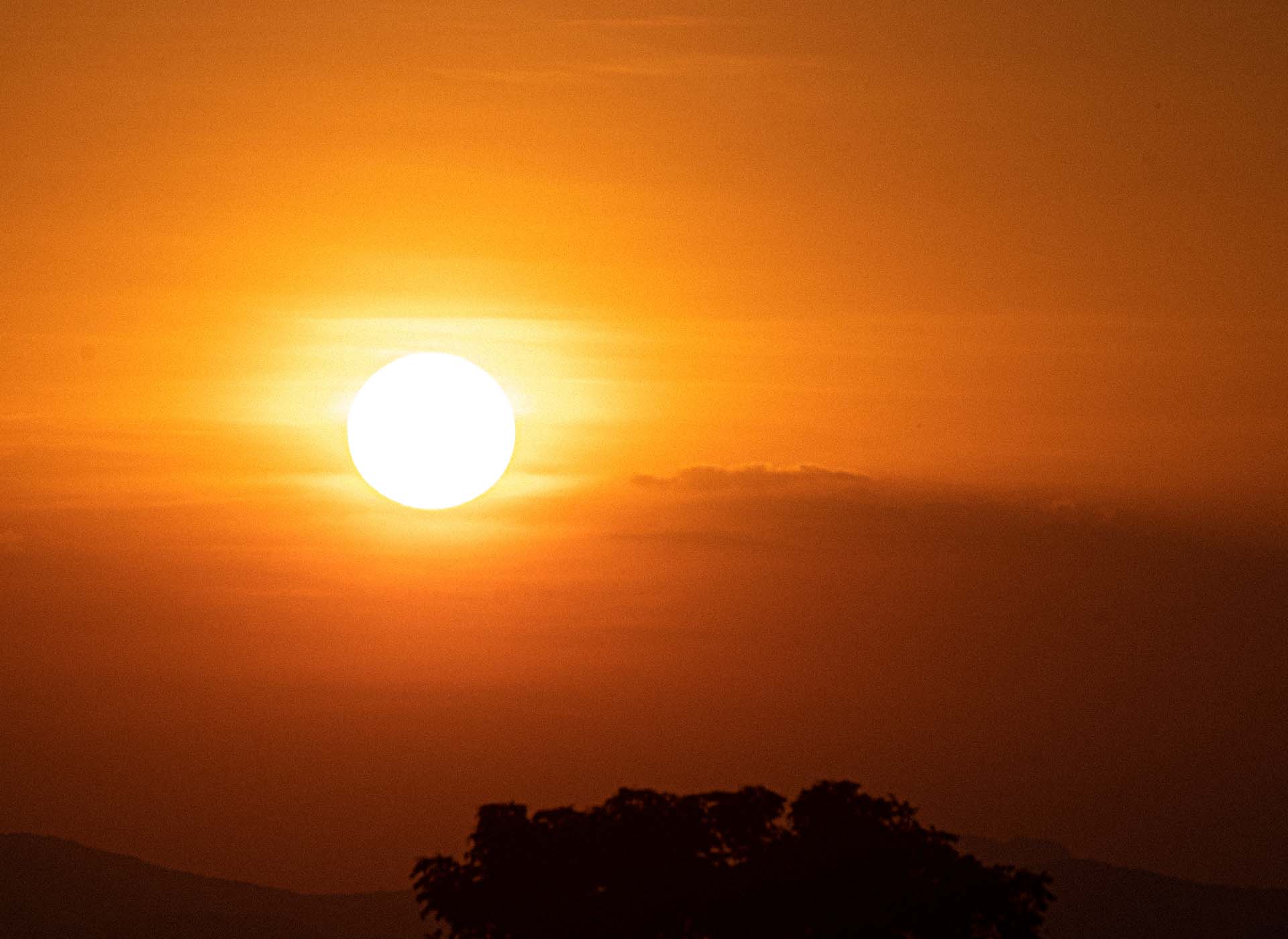 Vitamin D – Herkunft, Versorgung & Einordnung