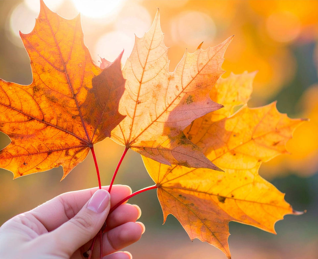 Gut durch den Herbst: Diese Mikronährstoffe sind wichtig