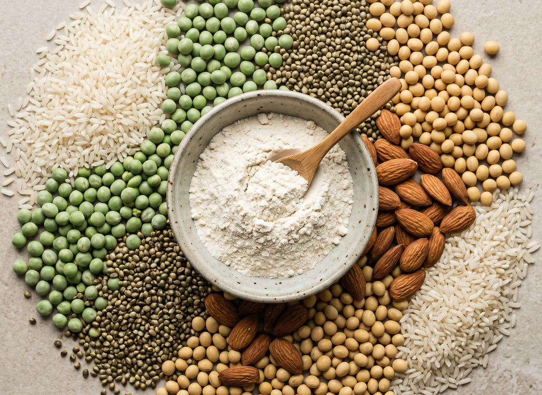 Schale mit pflanzlichem Proteinpulver, umgeben von Reis, Erbsen, Hanfsamen, Sojabohnen und Mandeln, von oben fotografiert.