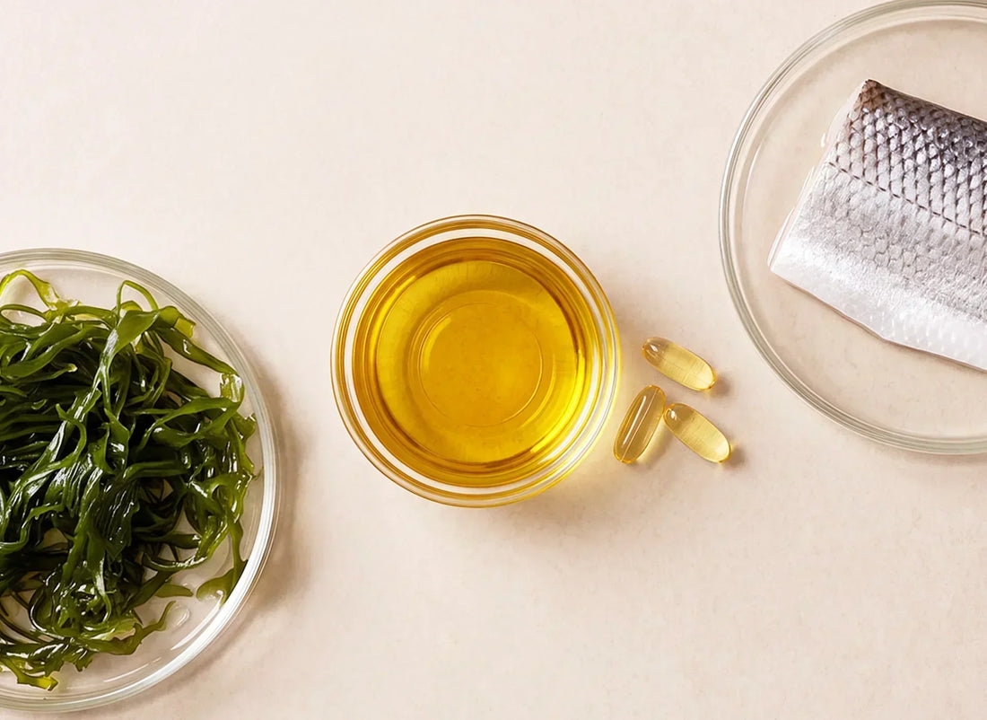 Algen, Algenöl mit Omega-3-Kapseln und Fischhaut im Vergleich – pflanzliche und tierische Quellen für DHA und EPA
