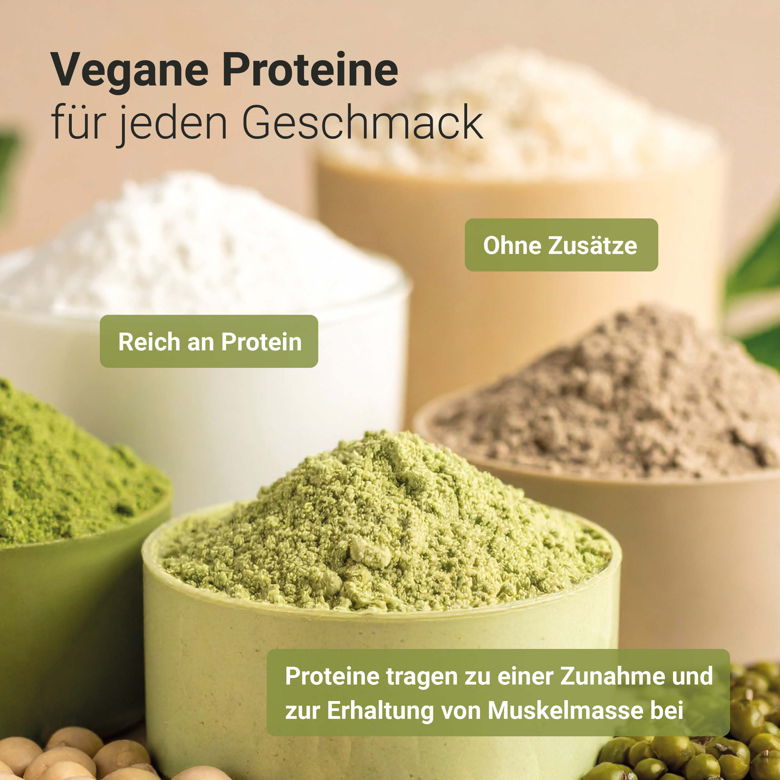 Organic protein shake pure plus