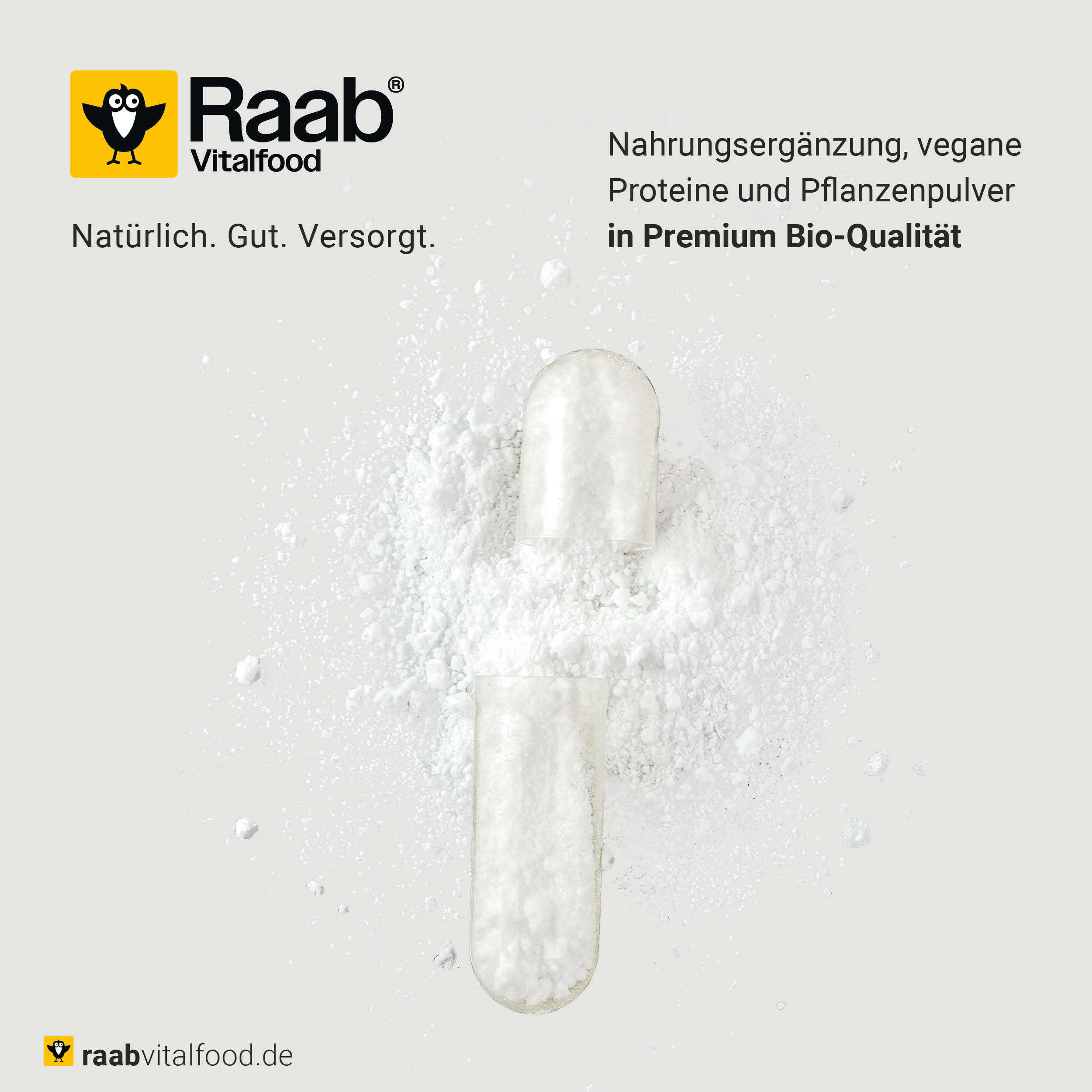 Makroaufnahme einer HPMC-Kapsel mit weißem Pulver, Nahrungsergänzung, vegane Proteine und Pflanzenpulver in Premium Bio-Qualität von Raab Vitalfood.