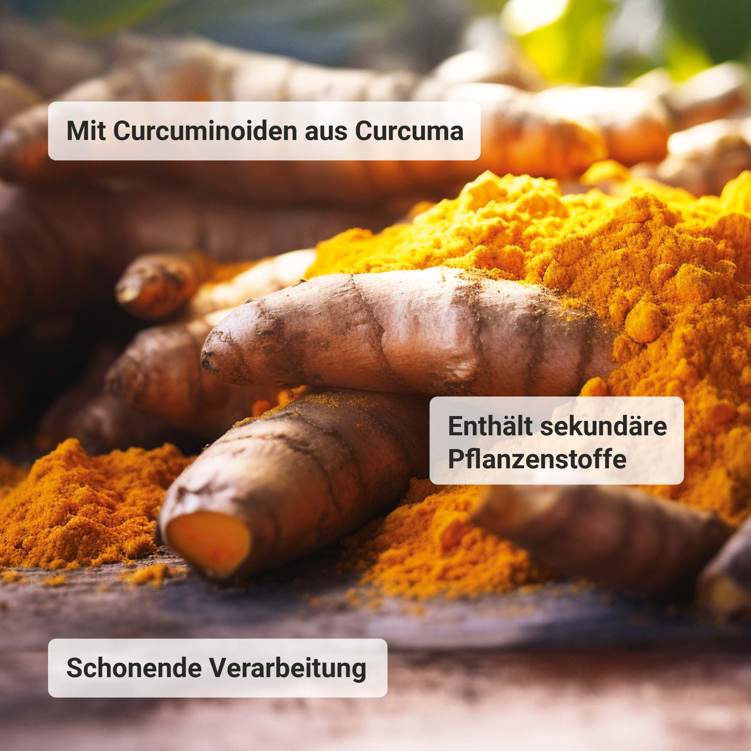 Organic Curcuma Forte Capsules