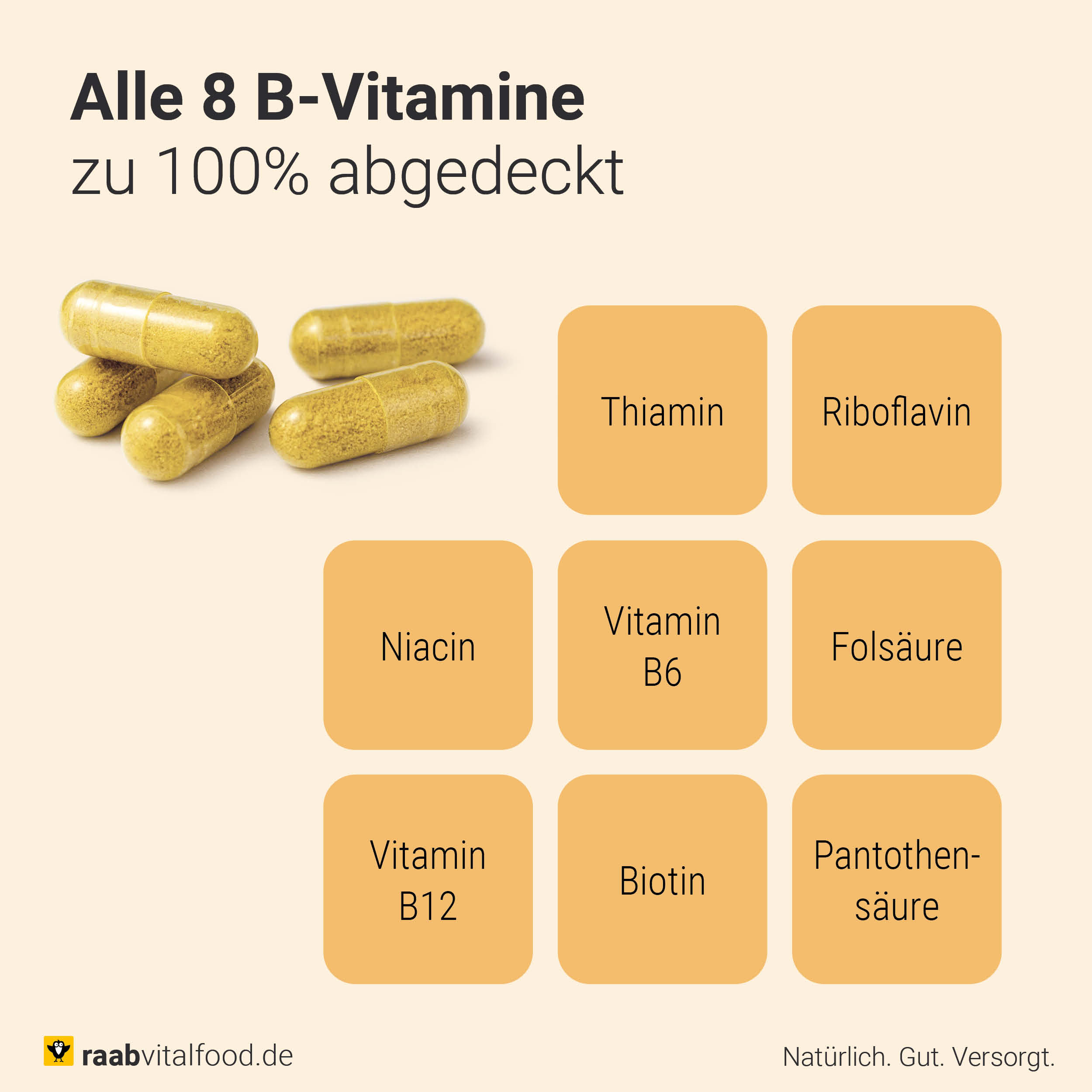 Darstellung aller 8 B-Vitamine im Produkt: Thiamin, Riboflavin, Niacin, Vitamin B6, B12, Folsäure, Biotin, Pantothensäure, mit Großaufnahme der Vitamin B Kapseln