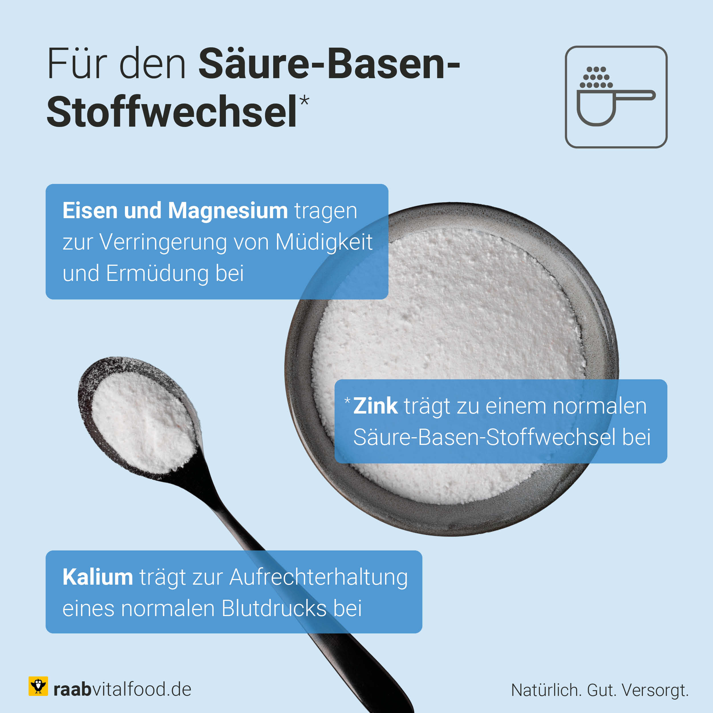 Basenpulver Balance Pur