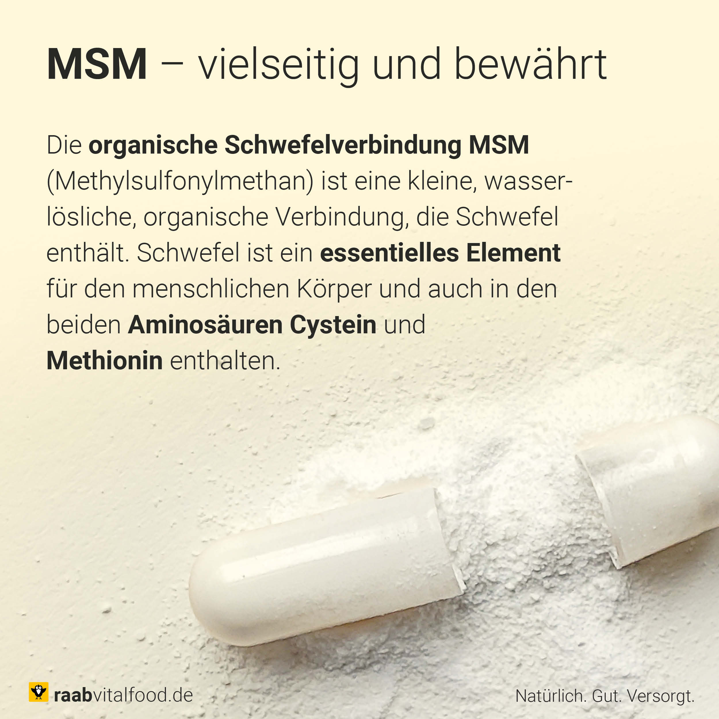 MSM mit Vitamin C Kapseln