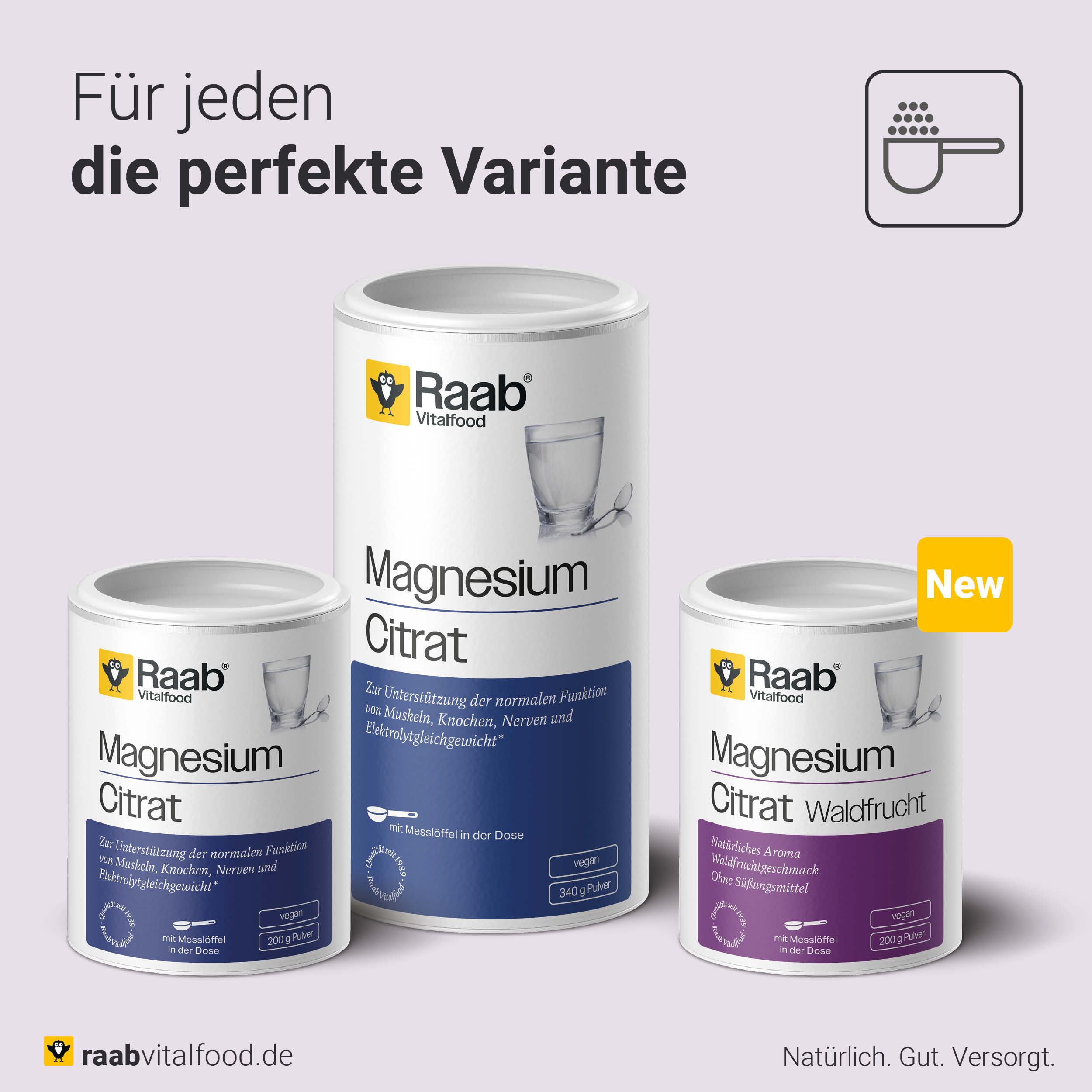 Drei Dosen Raab Vitalfood Magnesium Citrat in verschiedenen Größen und Varianten, die neue Geschmacksrichtung Waldfrucht und die klassische Variante Magnesium Citrat in der 200 g und 340 g Dose