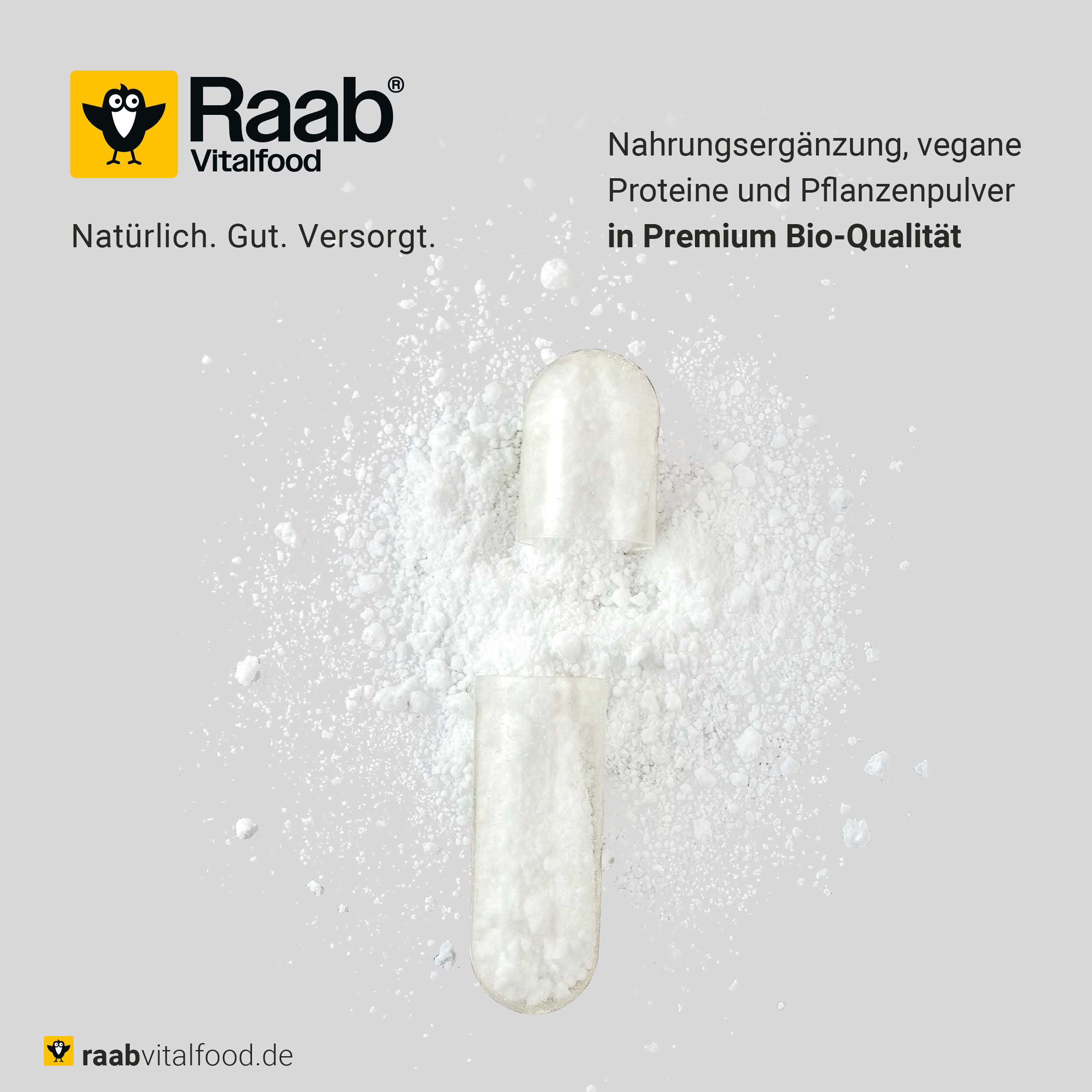 Makroaufnahme einer HPMC-Kapsel mit weißem Pulver, Nahrungsergänzung, vegane Proteine und Pflanzenpulver in Premium Bio-Qualität von Raab Vitalfood.