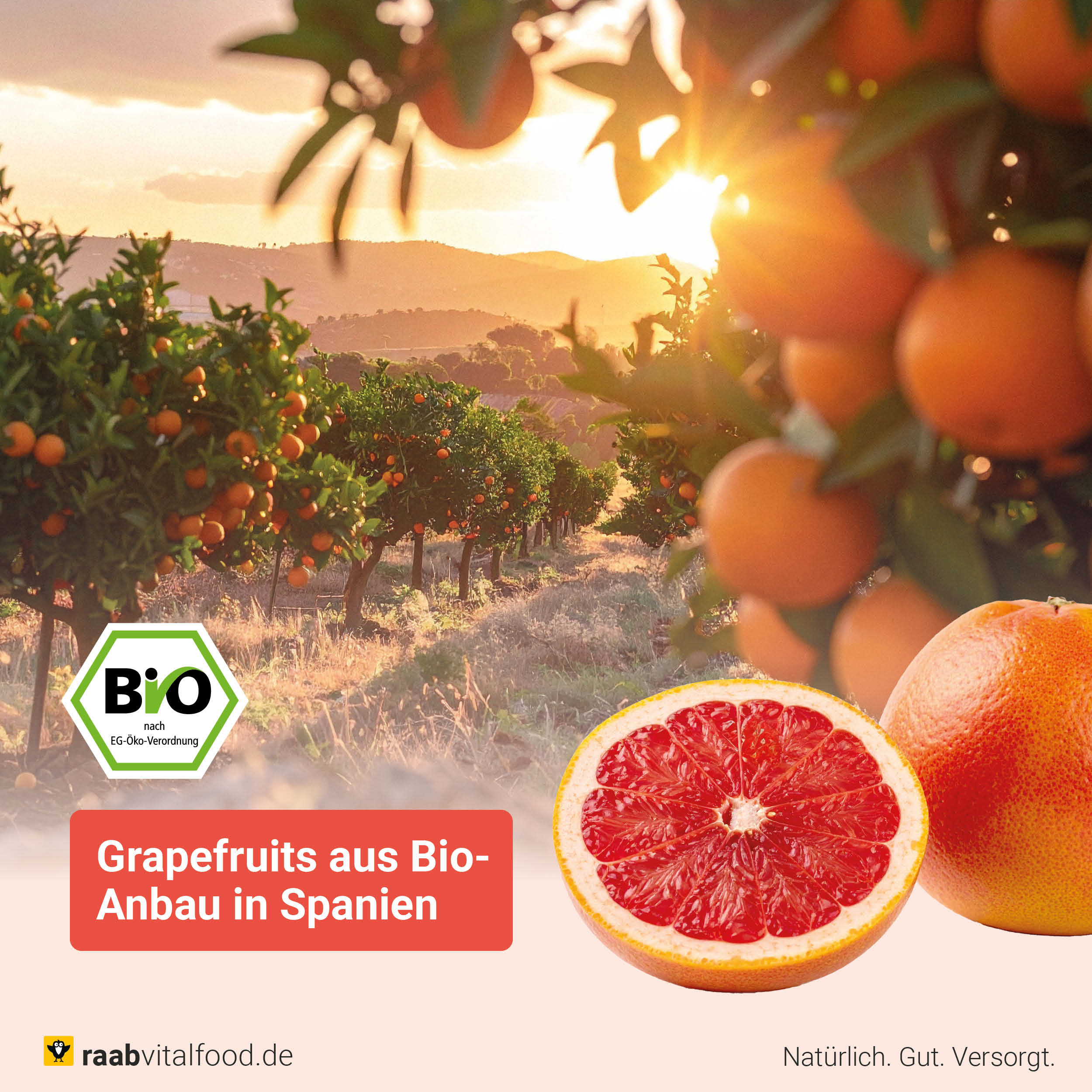 Bio Grapefruit Extrakt Tropfen