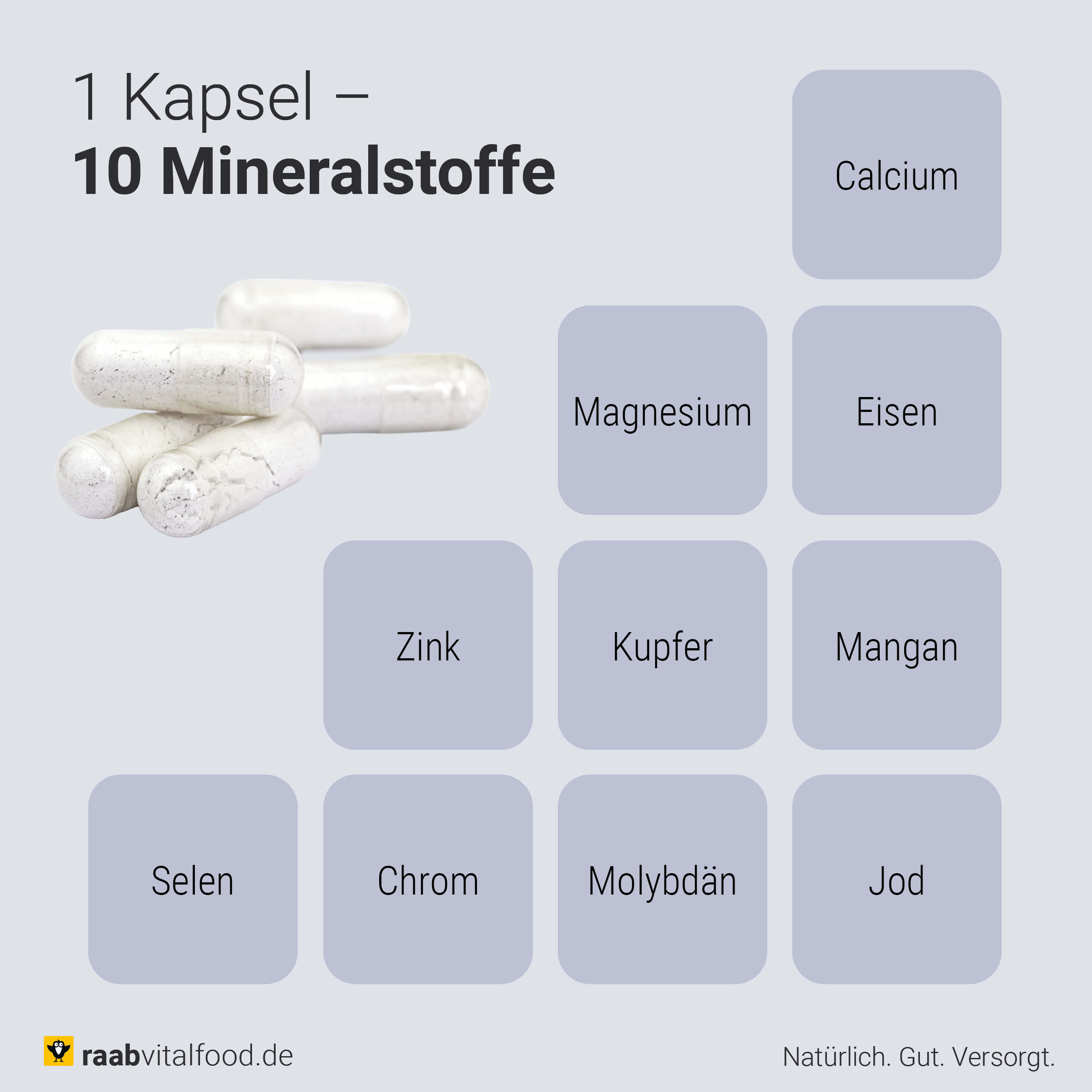 Raab Komplex-Reihe - Durchdachte Kombinationen von Mineralstoffen und Spurenelementen wie Calcium, Magnesium, Eisen, Zink, Kupfer, Jod, Selen