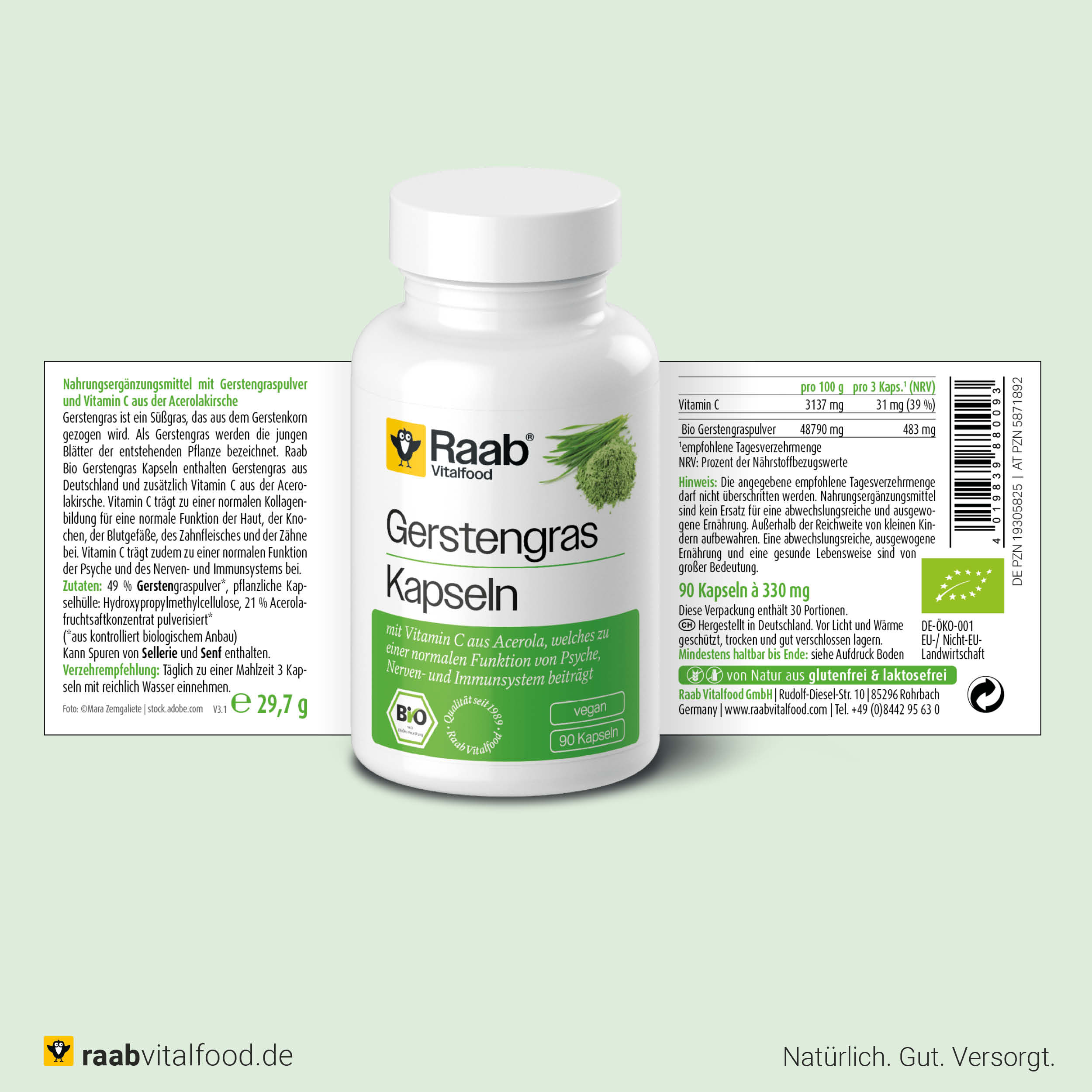 Raab Vitalfood Bio Gerstengras Kapseln