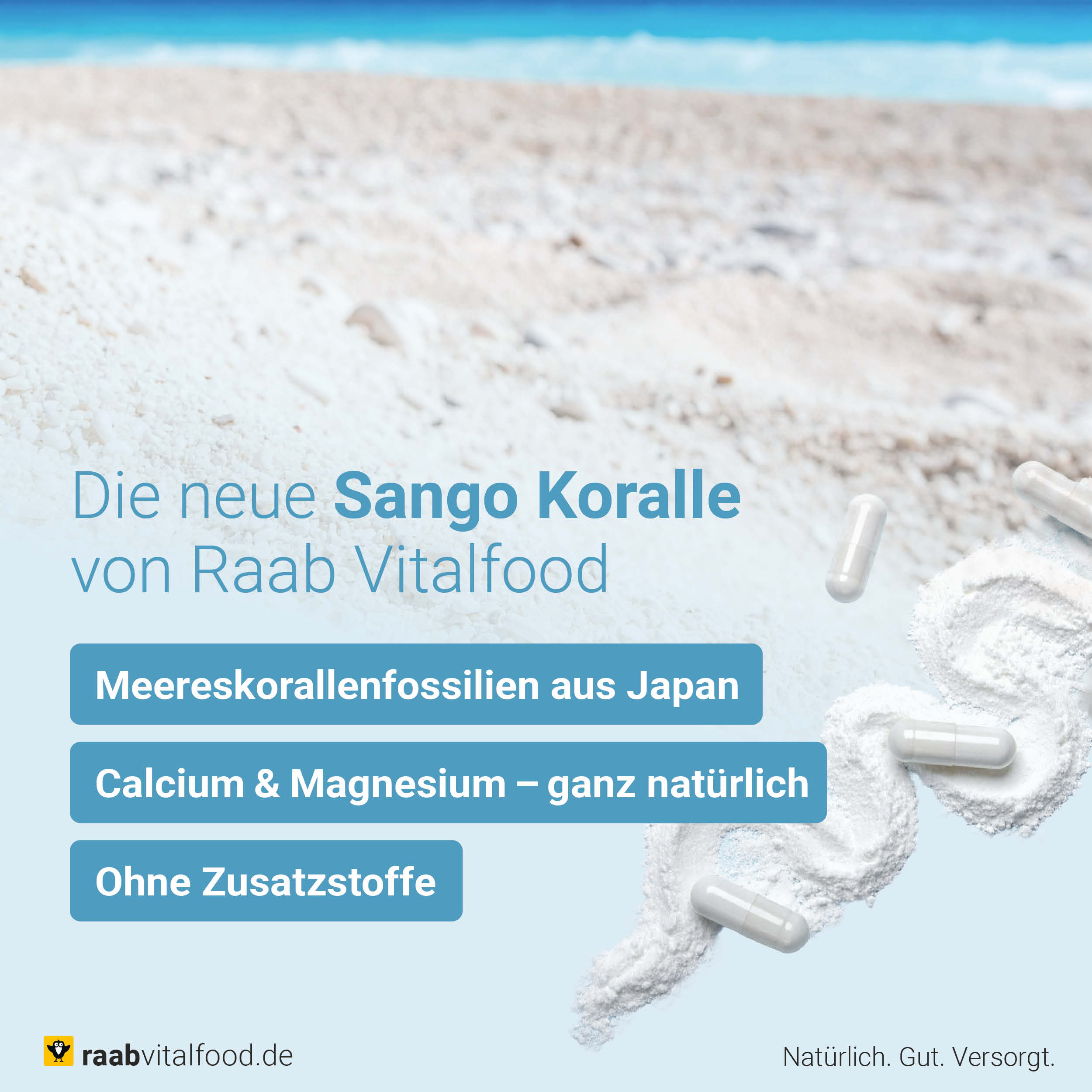 Sango Koralle Pulver - Natürliches Calcium-Magnesium-Verhältnis 2:1 aus Meereskorallenfossilien
