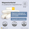 Raab Vitalfood Magnesiumlactat Kapseln