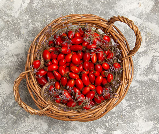 Was macht die Hagebutte so besonders?